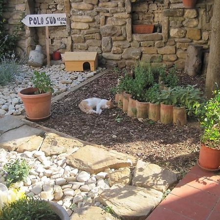 Rosandra Bed & Breakfast San Dorligo della Valle Exterior photo